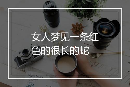 女人梦见一条红色的很长的蛇