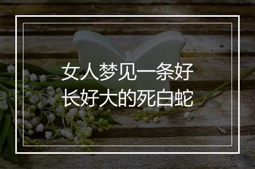 女人梦见一条好长好大的死白蛇