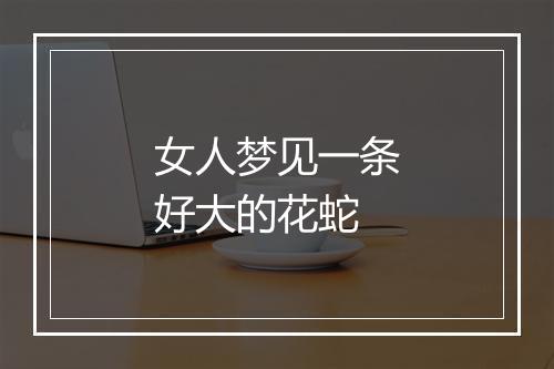 女人梦见一条好大的花蛇