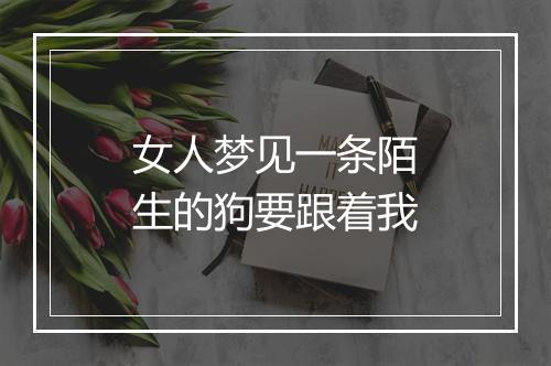 女人梦见一条陌生的狗要跟着我