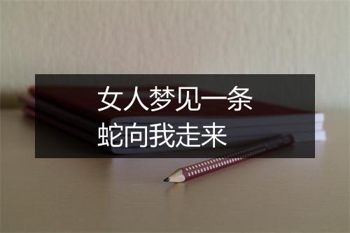 女人梦见一条蛇向我走来