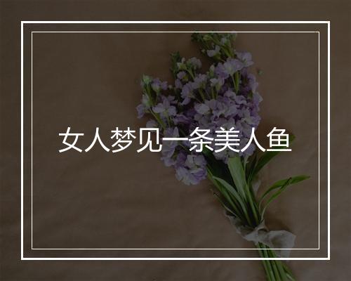 女人梦见一条美人鱼