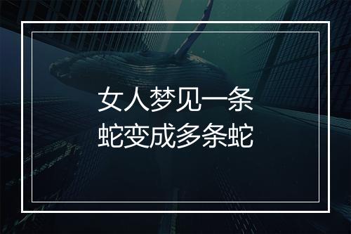 女人梦见一条蛇变成多条蛇