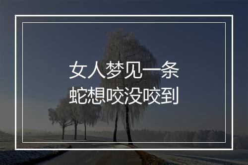 女人梦见一条蛇想咬没咬到