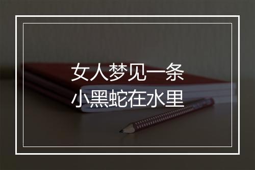 女人梦见一条小黑蛇在水里