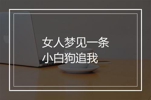 女人梦见一条小白狗追我