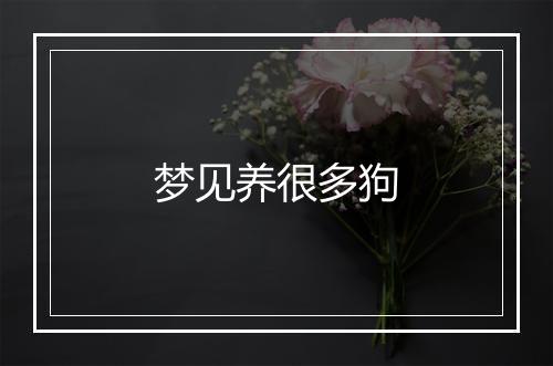 梦见养很多狗