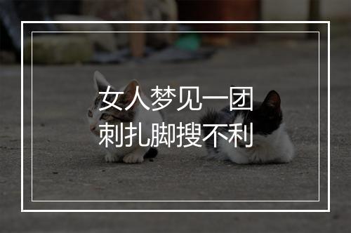 女人梦见一团刺扎脚搜不利