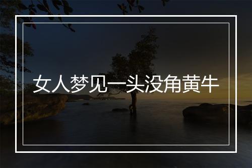 女人梦见一头没角黄牛