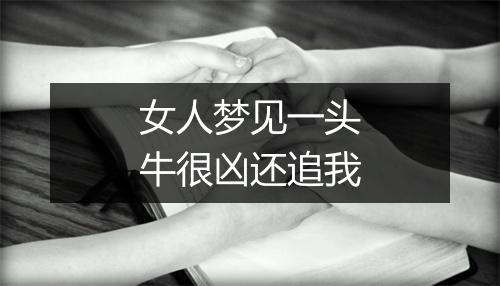 女人梦见一头牛很凶还追我