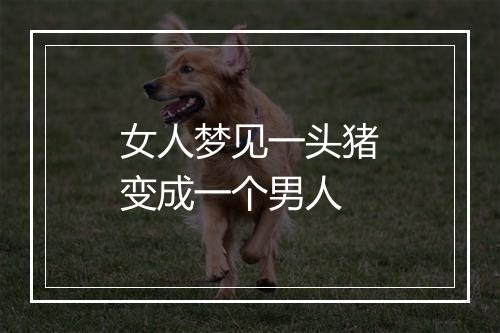 女人梦见一头猪变成一个男人