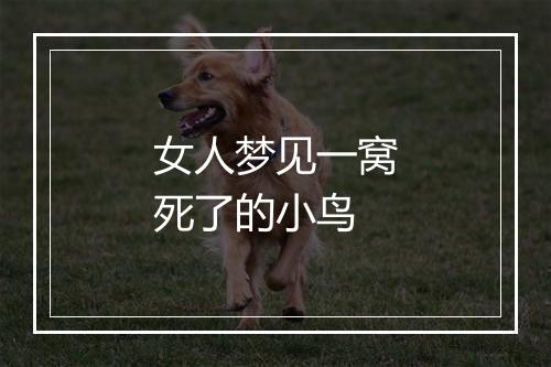 女人梦见一窝死了的小鸟