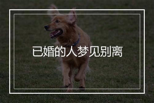 已婚的人梦见别离