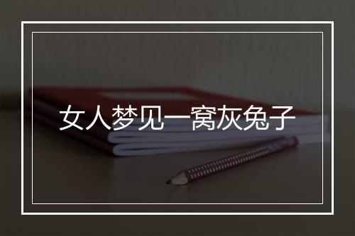 女人梦见一窝灰兔子