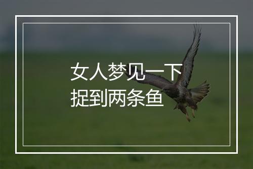 女人梦见一下捉到两条鱼