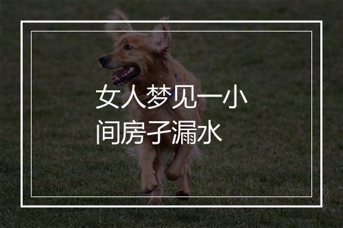 女人梦见一小间房孑漏水