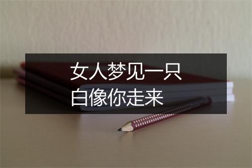 女人梦见一只白像你走来