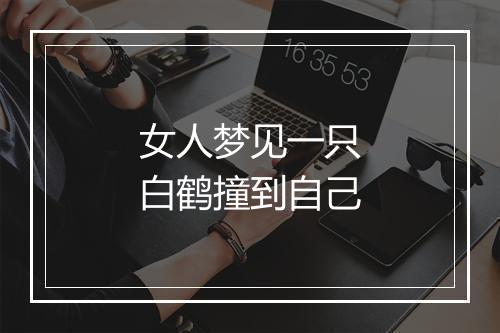 女人梦见一只白鹤撞到自己