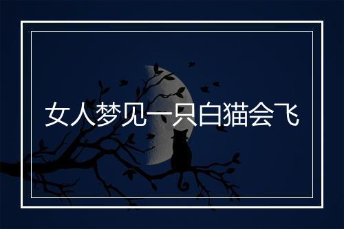 女人梦见一只白猫会飞