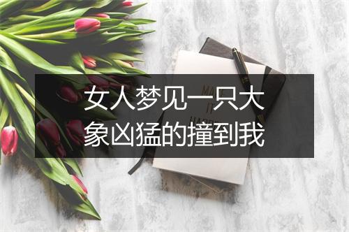 女人梦见一只大象凶猛的撞到我