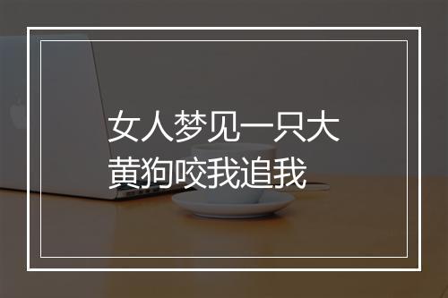 女人梦见一只大黄狗咬我追我