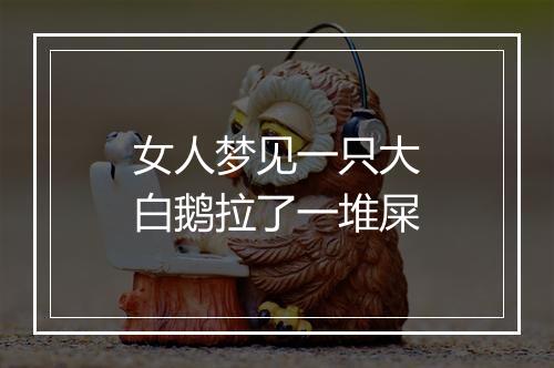 女人梦见一只大白鹅拉了一堆屎