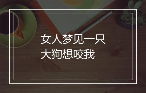 女人梦见一只大狗想咬我