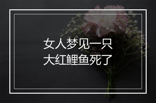 女人梦见一只大红鲤鱼死了