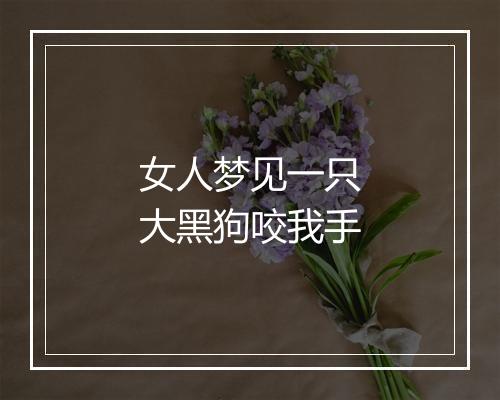 女人梦见一只大黑狗咬我手