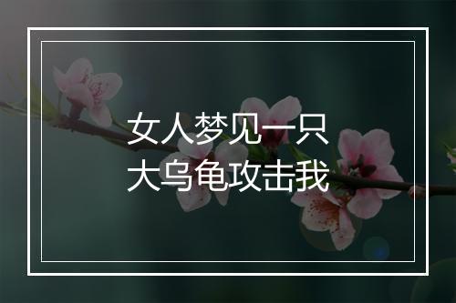 女人梦见一只大乌龟攻击我