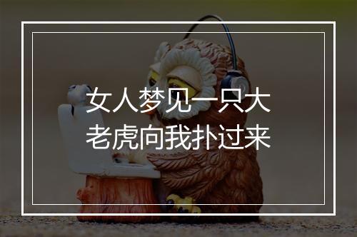 女人梦见一只大老虎向我扑过来