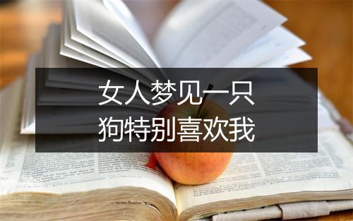 女人梦见一只狗特别喜欢我