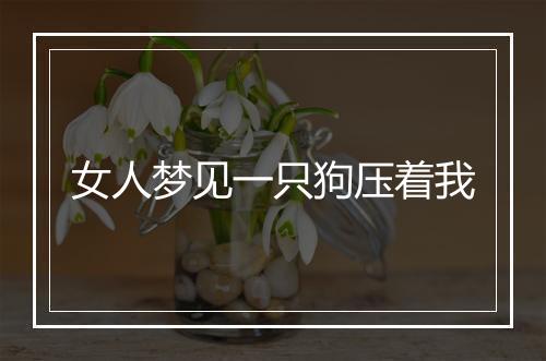 女人梦见一只狗压着我