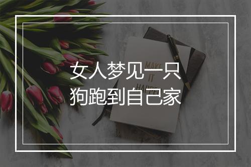 女人梦见一只狗跑到自己家