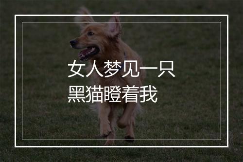 女人梦见一只黑猫瞪着我