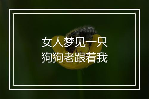 女人梦见一只狗狗老跟着我