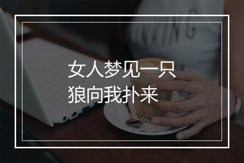 女人梦见一只狼向我扑来