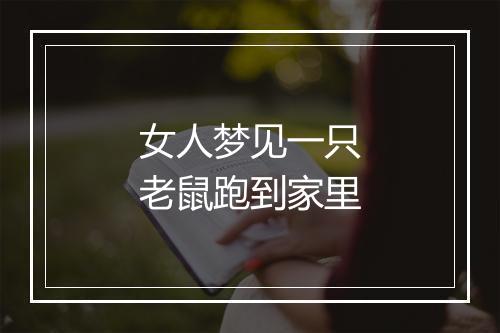 女人梦见一只老鼠跑到家里