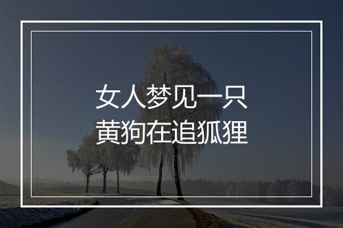 女人梦见一只黄狗在追狐狸