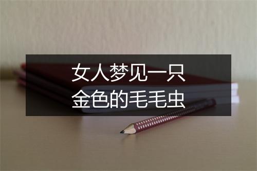 女人梦见一只金色的毛毛虫