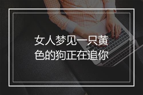 女人梦见一只黄色的狗正在追你