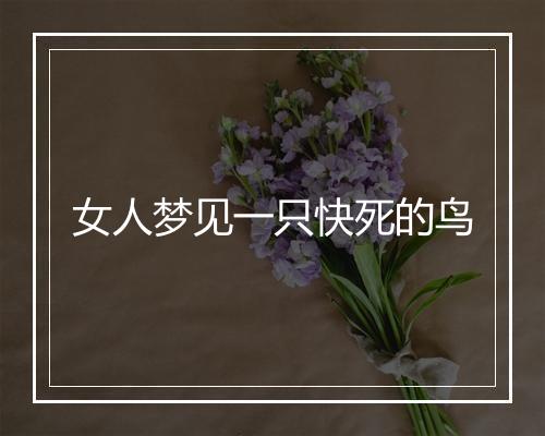 女人梦见一只快死的鸟