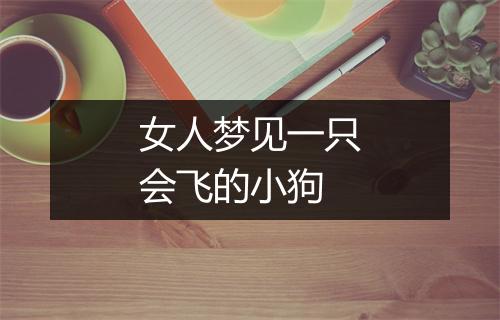 女人梦见一只会飞的小狗