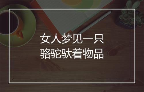 女人梦见一只骆驼驮着物品