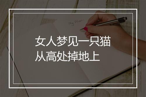 女人梦见一只猫从高处掉地上