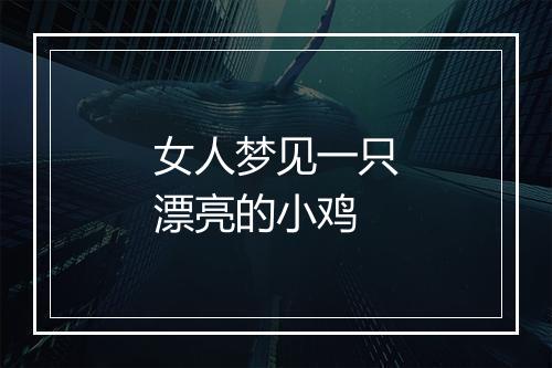 女人梦见一只漂亮的小鸡