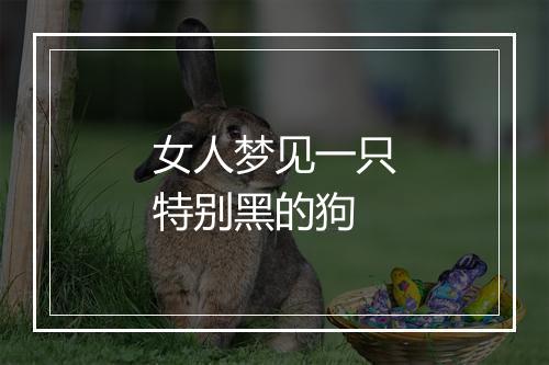 女人梦见一只特别黑的狗