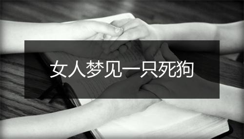 女人梦见一只死狗