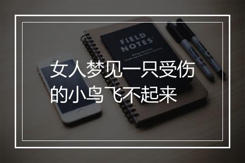 女人梦见一只受伤的小鸟飞不起来