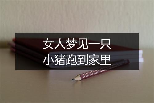 女人梦见一只小猪跑到家里